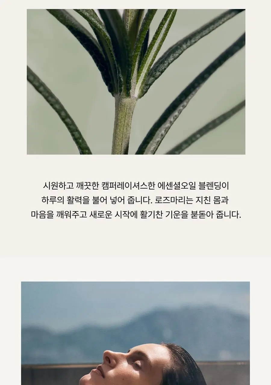 [헤어+바디] 아로마티카 바이탈라이징 로즈마리 올인원 바디워시 300ml 상세페이지 5